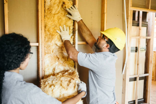 Best Insulation Repair Services  in Benton Heights, MI