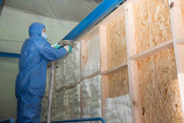 Best Spray Foam Insulation  in Benton Heights, MI
